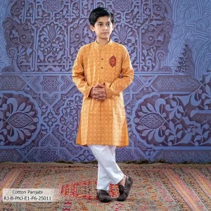 Boy's Panjabi