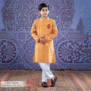 Boy's Panjabi