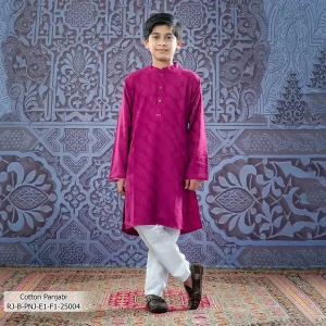 Boy's Panjabi