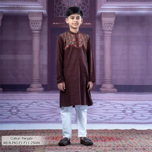 Boy's Panjabi