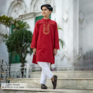 Boy's Panjabi