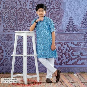 Boy's Panjabi