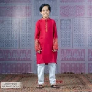Boy's Panjabi
