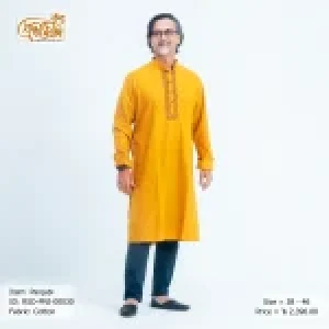 Man's Panjabi