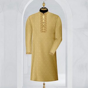 Panjabi CA-2-24/12