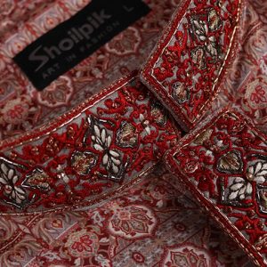 Panjabi MSP-23-255