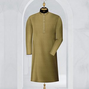 Panjabi MSP-23-294