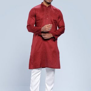 Regular Fit Embroidered Semi-Formal Panjabi