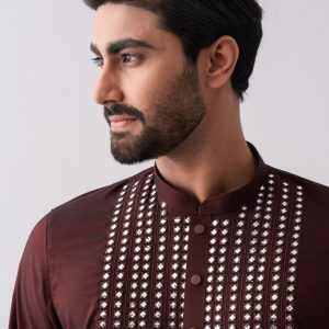 Regular Fit Two-Tone Fabric Semi-Formal Panjabi